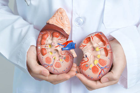 Kidney Transplant Surgery