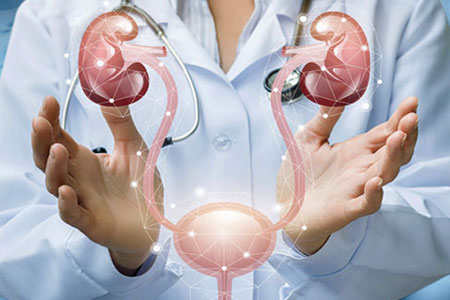 General Urology Care